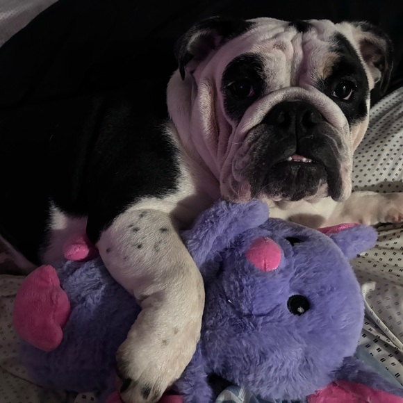 Meet your Posher, Alexis - Picture 2 of 2